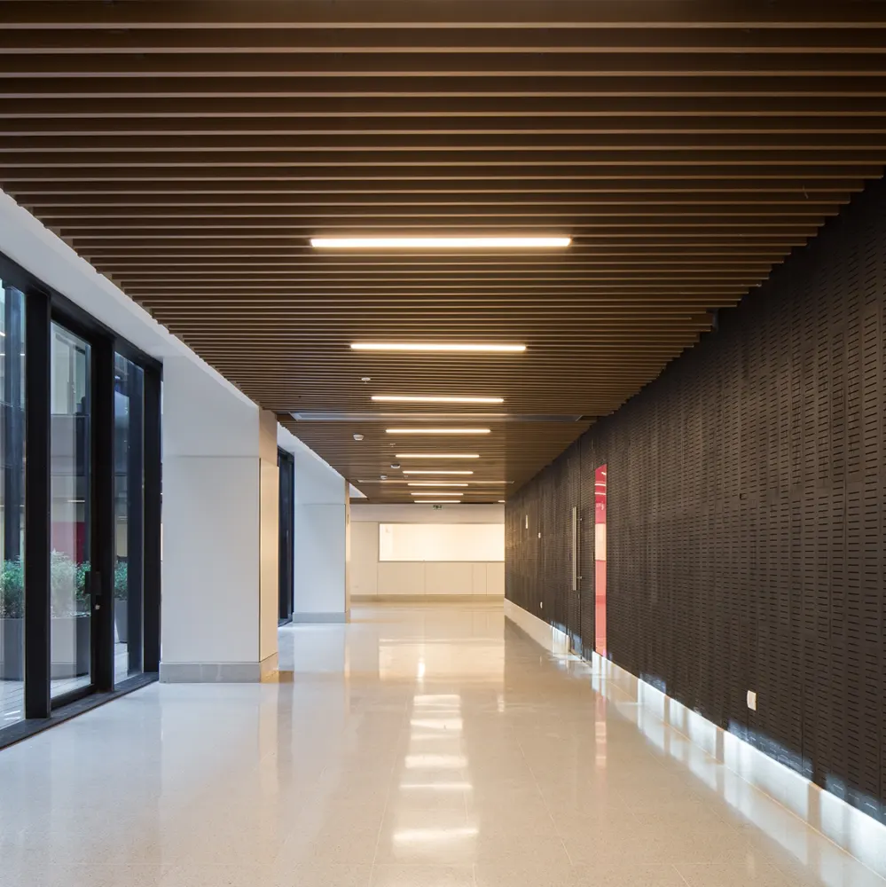 Cielos Lineales y Modulares Metálicos